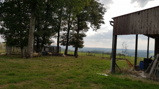 Vente maison Sens 89100